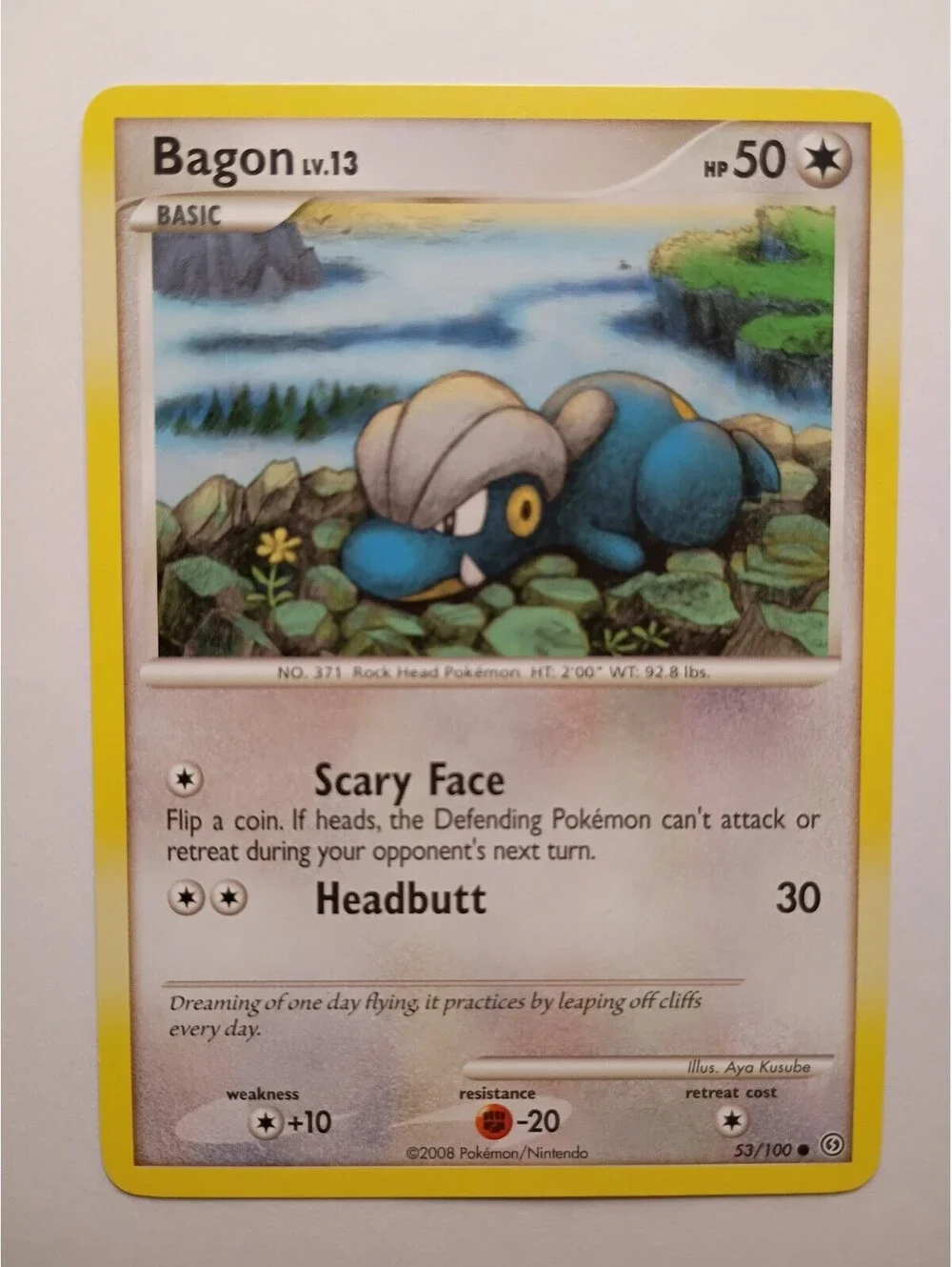 Pokemon TCG Bagon LV.13 non Holo 53/100 2008